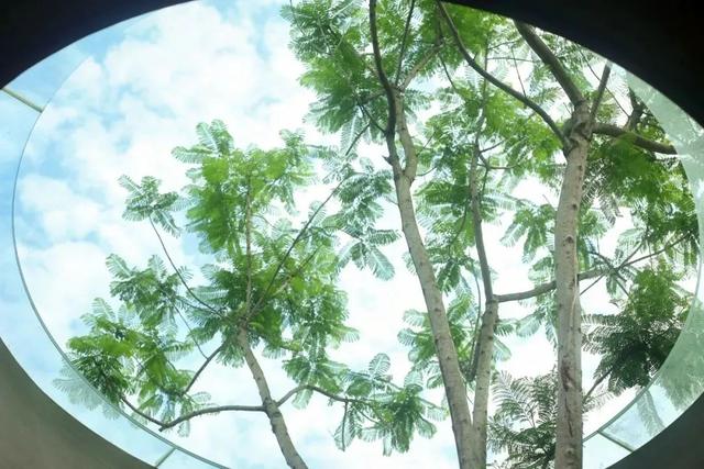 邛崃这些林盘景区，藏着向往的诗意与远方