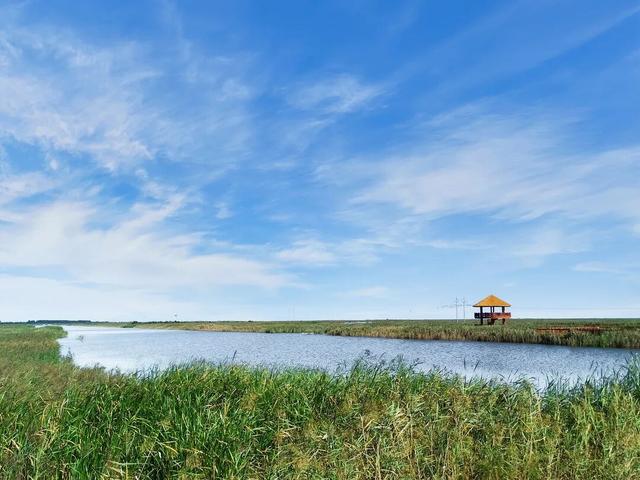 【黄河口生态旅游区】邂逅多彩黄河口，赴一场自然与生命的浪漫之约