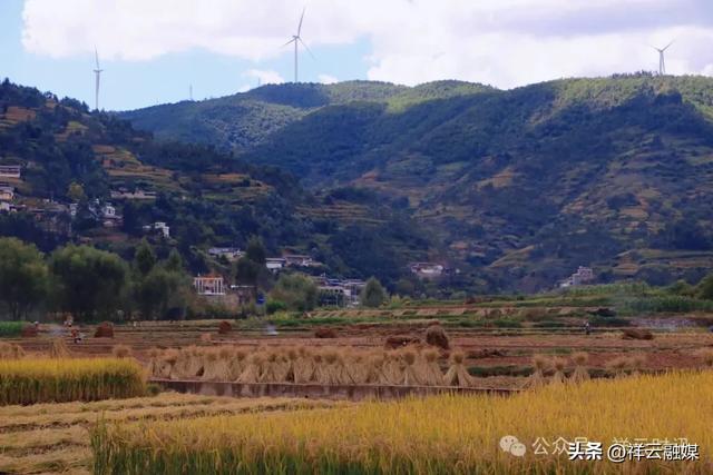 旅居祥云 | 普淜镇：秋收好景话丰年