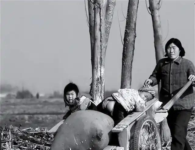 1992年，河南教师因“超生”被开除，不料22年后，被省里赔偿60万
