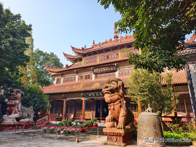 四川行(75)广汉②金雁湖公园·黑塔街·龙居寺