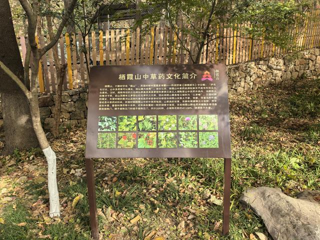 南京栖霞山一日徒步，游千年古刹，看漫山红叶