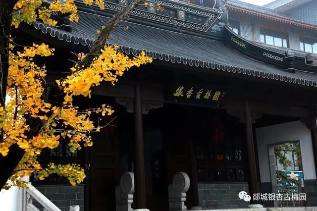 临沂9月超燃！华健哥+张韶涵演唱会开唱，凭演唱会门票享景区优惠！