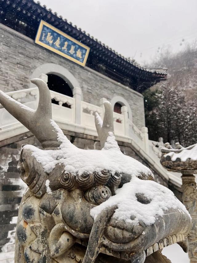 晒图！第一波丰台雪景大片——
