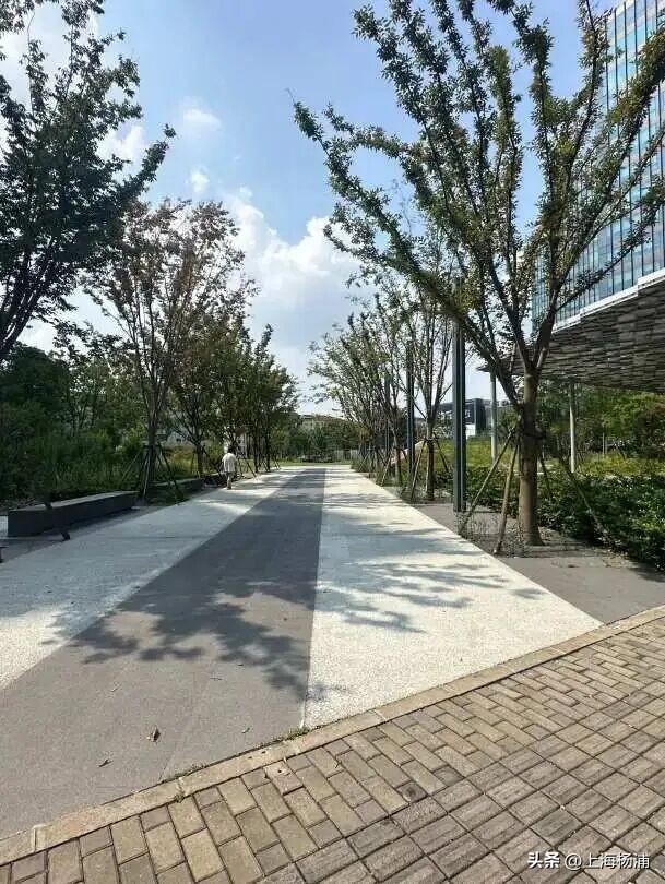 来杨浦“轧马路”！这条Citywalk路线藏不住了