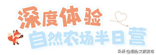 【乐游烟台】周末好去处丨“浪浪山”外，烟台新开儿童乐园免费玩