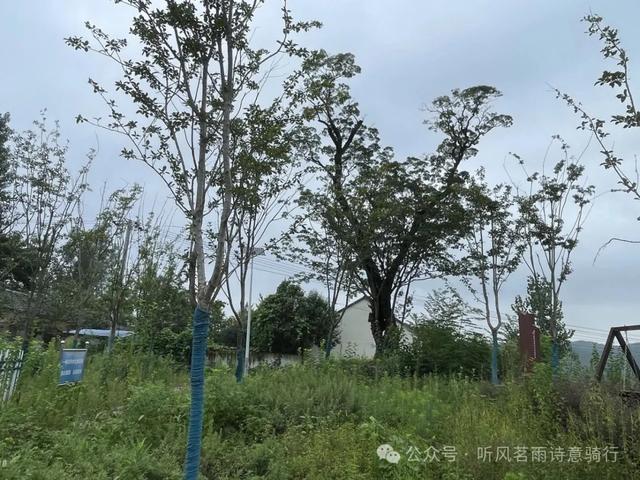 骑游滁州西碧云湖（黄栗树水库）椒岭风景线、井楠村、赤湖铺古桥