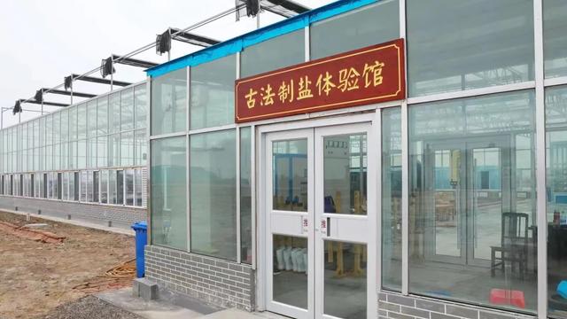 芦花千年尽飞雪