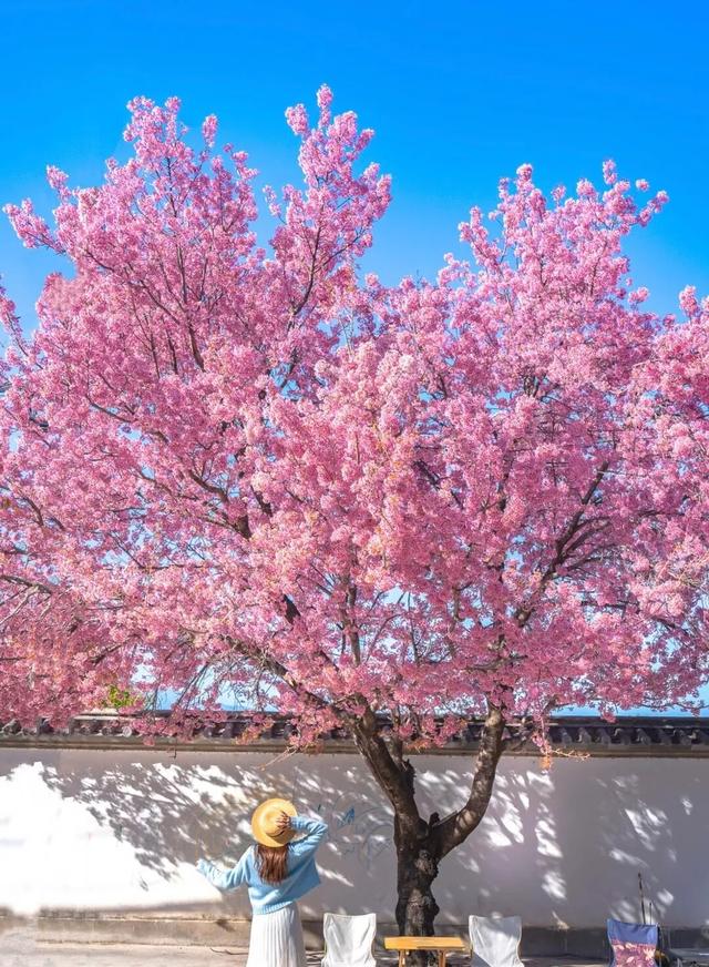 大理 ⇌太原 当凉鸡米线遇见打卤面