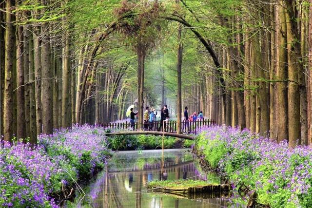 2026年泰州•兴化千垛菜花旅游推广活动走进西安