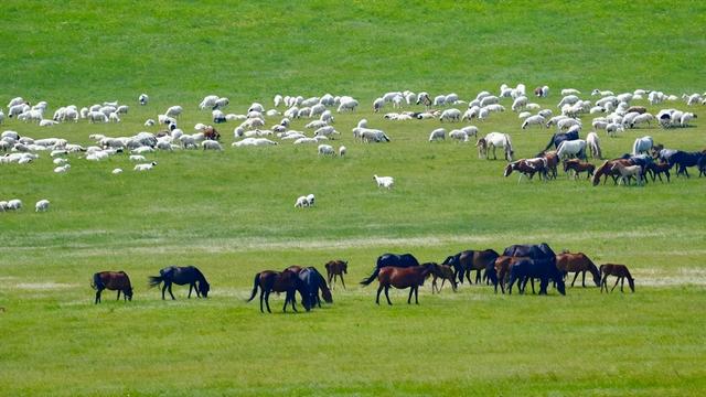 在中国，能封神的路线不多，这条108天环国边境线走完能吹一辈子