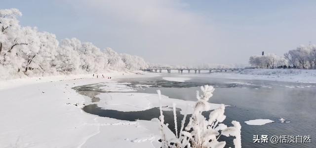 《冰雪晶莹，映照心暖》