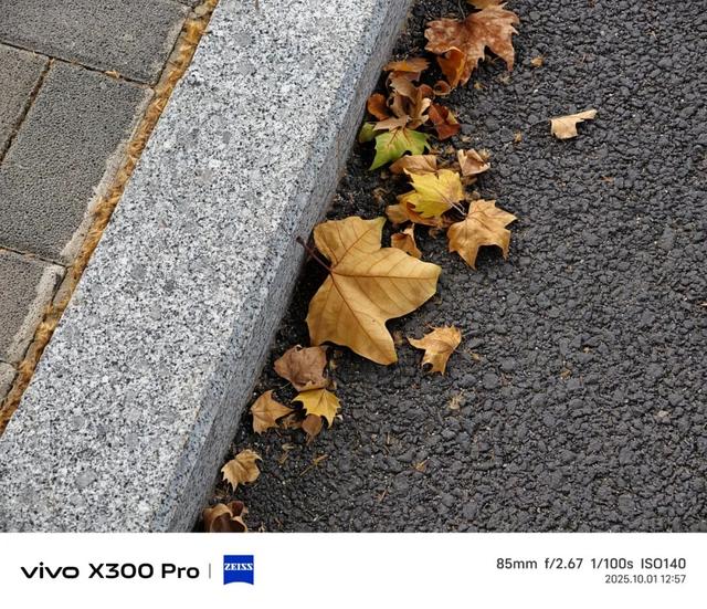 vivo X300系列评测：同级巅峰影像 出片易如反掌