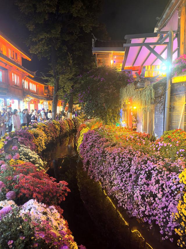 《丽江一夜》