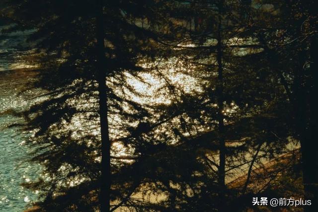 绝美！打卡唐诗同款长安秋色！