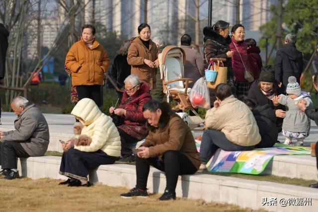 乐山春溪体育公园地面部分开放 市民打卡乐享全龄休闲