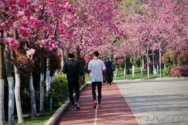 我是河南人，去了趟昆明发现：昆明人跟其他地方的人还真不一样