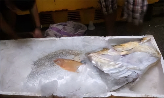 鳘鱼胶价格 2026年鳘鱼胶价格一般多少钱一斤