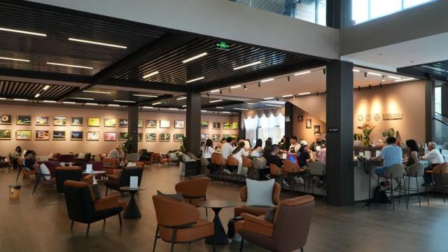 思茅区：咖啡庄园迎来暑期旅游热 解锁“咖旅融合”新玩法