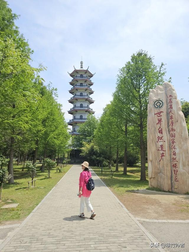 江苏12大5A景区终极考验!去过3个算入门,全去过的是真“大神”