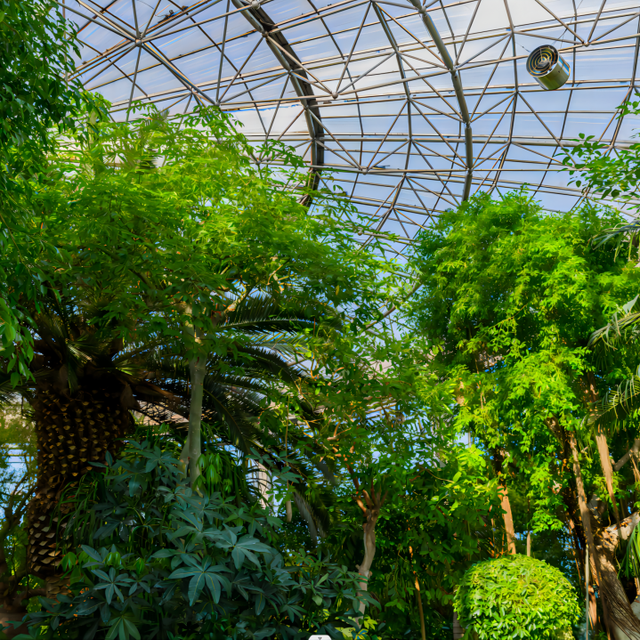 初雪定档！丰台冬日氛围组已就位！这10种浪漫玩法，暖到你心里～