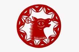 生肖牛五十岁警钟！五大疾病潜伏，早知早防更健康！图片