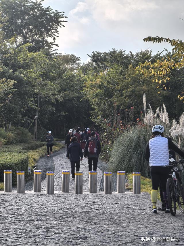 冬天的早上 晒着太阳从大观楼徒步到西山茶马花街 是什么样的感受？