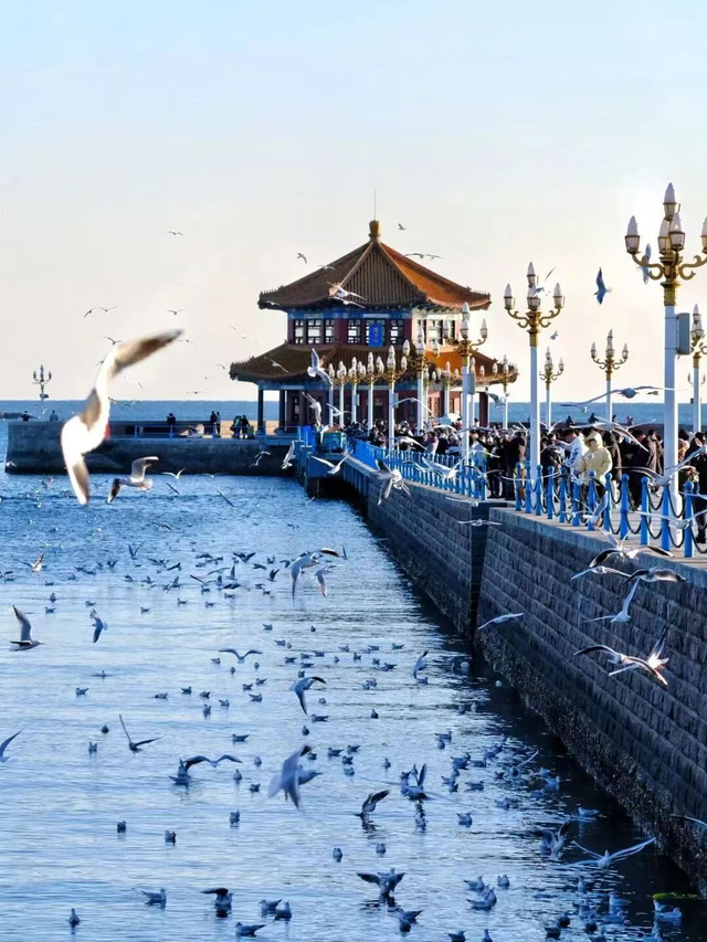 冬日畅游齐鲁，相约乐GO山东！