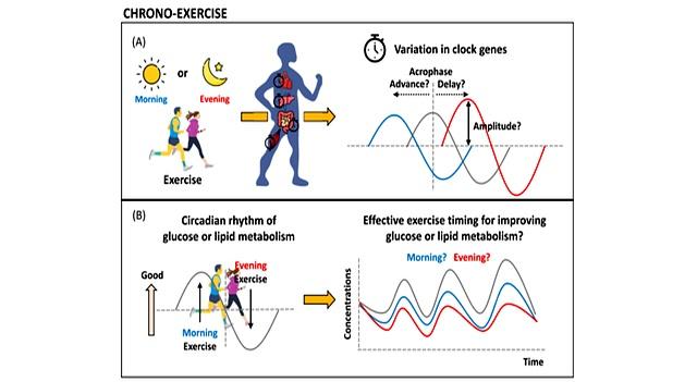 熬夜后千万别做这件事	，等于“作死	”！很多人不知道