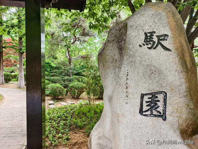 大连海之韵公园·棒槌岛