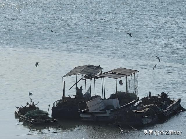 悠游泉州⑧:蟳埔民俗文化村、蟳埔码头（2025.2.8）