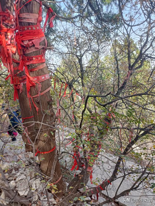 无为在歧路，漫游青州城