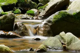 还在为1升等于多少斤而烦恼吗？我来为你揭秘！图片