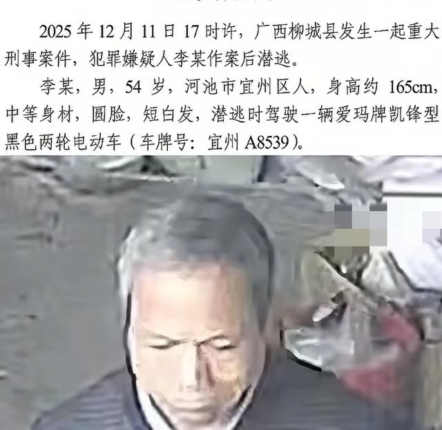 广西杀害2女性李某被抓！潜逃5日被老太在山洞发现，杀人动机曝光