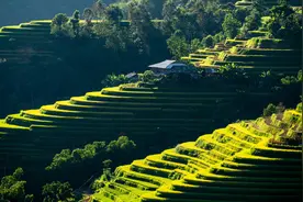 期权干货之——买看涨和卖看跌图片