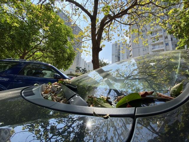 黄河滩到渔港边：夏末山东行的烟火与故事