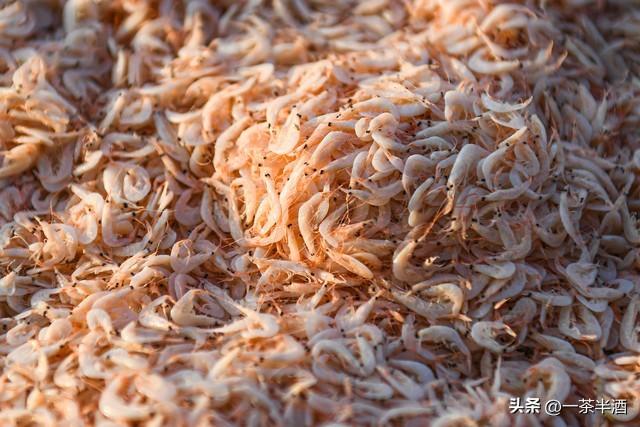 广东云浮市自驾游必看！免费营地，主要景点，特色美食一网打尽