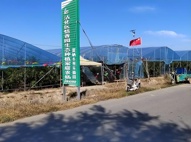 “‘枣’想遇见你”滨州“枣”味采摘路线 | 沾化冬枣、苹果、葡萄……来滨州，为你的假期“加buff”