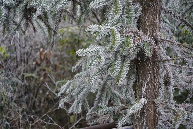 “云赏”怀集的冰雪世界