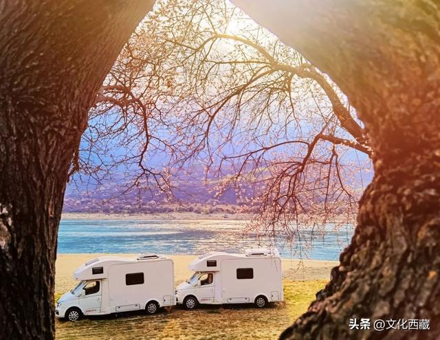 下月即将开爆！这才是 “中国最美春天”，一年仅20天可遇！