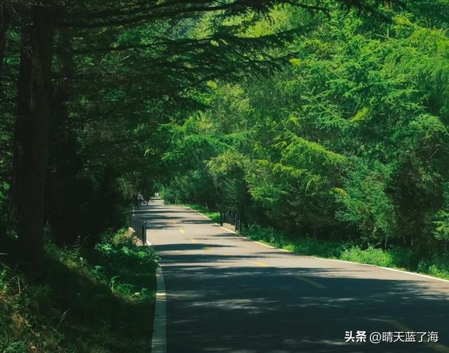 西安周末两日一夜——汉中留坝深度游攻略（含狮子沟详细玩法）！