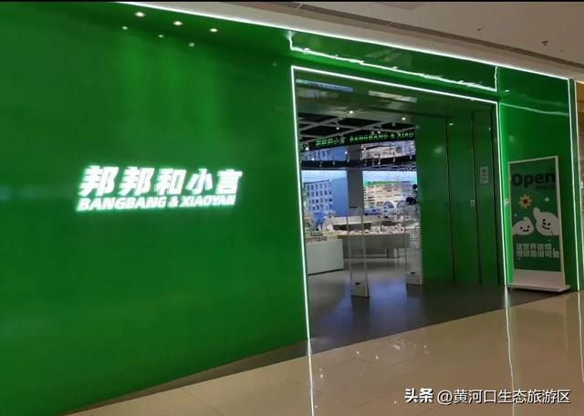 沿着黄河遇见海｜市文旅集团推出益智文创产品，解锁生态与匠心的潮玩新体验