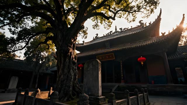 来成都，杜甫草堂与武侯祠：谁更值得一去？读懂再出发