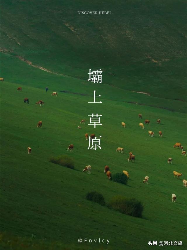 这么近，那么美，河北文旅到底有什么？