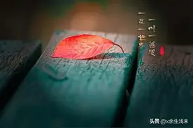 夜无眠，一卷思念醉流年（散文）图片