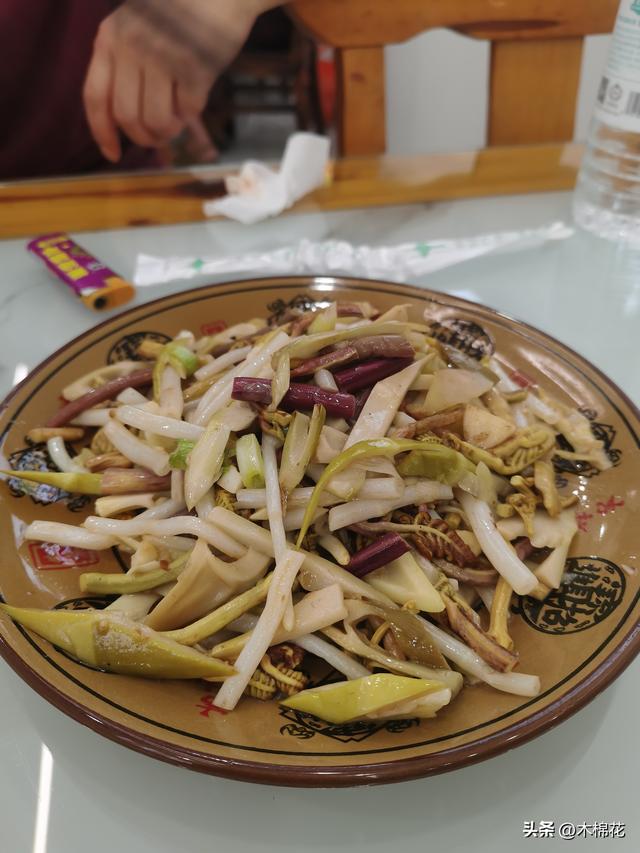 携宠旅游第二天