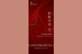 47轮！南京拍出史上第二高价地！楼面地价43888元/㎡！图片