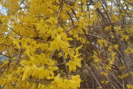 四十岁头婚，结婚两年后以为老婆终于怀孕了，去医院一查心凉了。图片