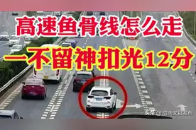 路上的“鱼骨线”标识，应该如何行驶?交警:走错就要扣12分，一定要注意图片