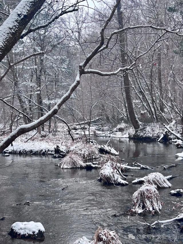 时逢大雪，安图约你围炉赏雪